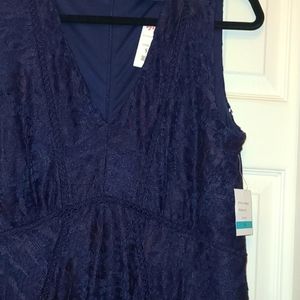 Flirty V Neck Lace Dress